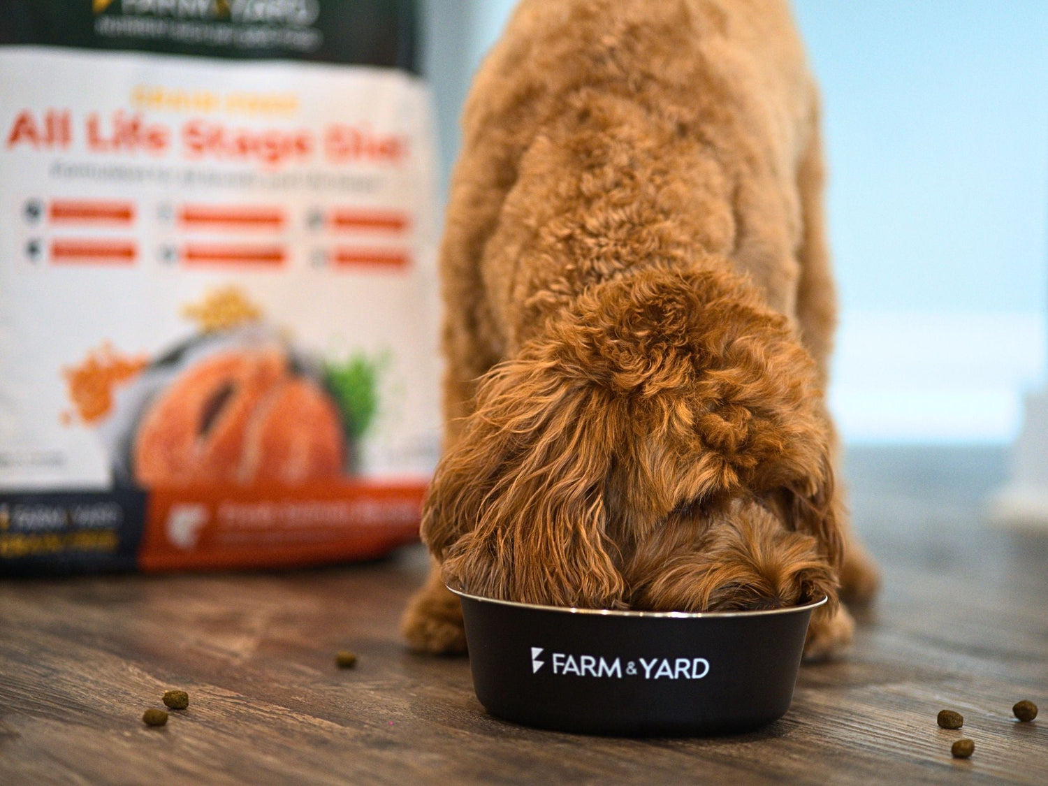 Grain-Free Dog Food: A Healthy and Balanced Choice for Your Dog