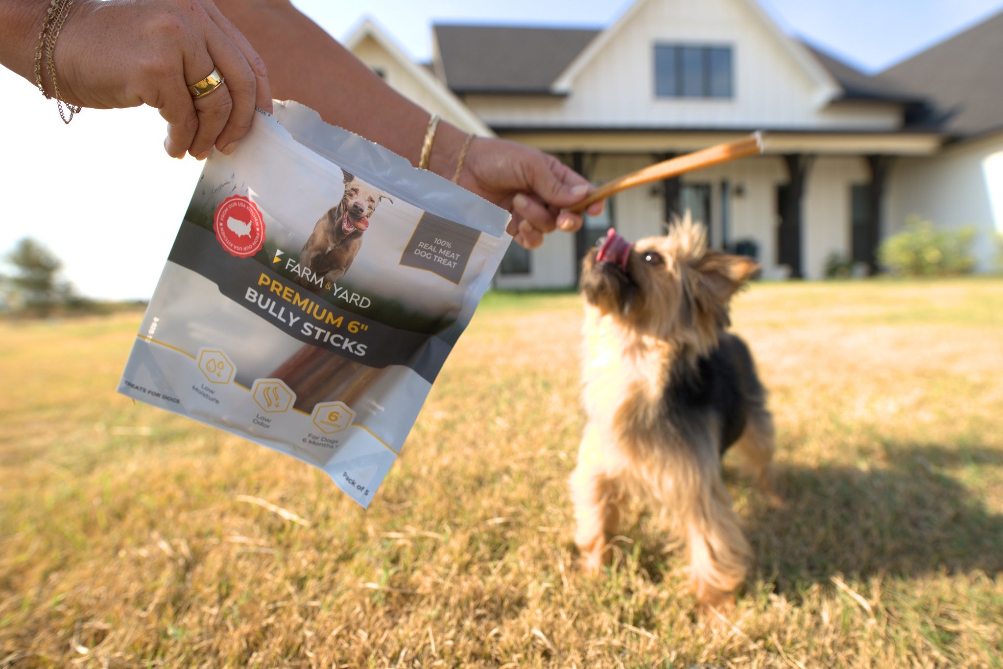 Single Ingredient Dog Treat - Bully Stick Regular