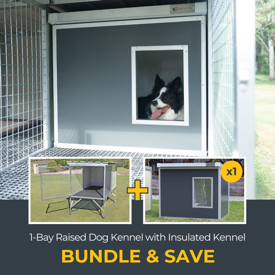 1-Bay Raised Safety Kennel with CozyCube Bundle