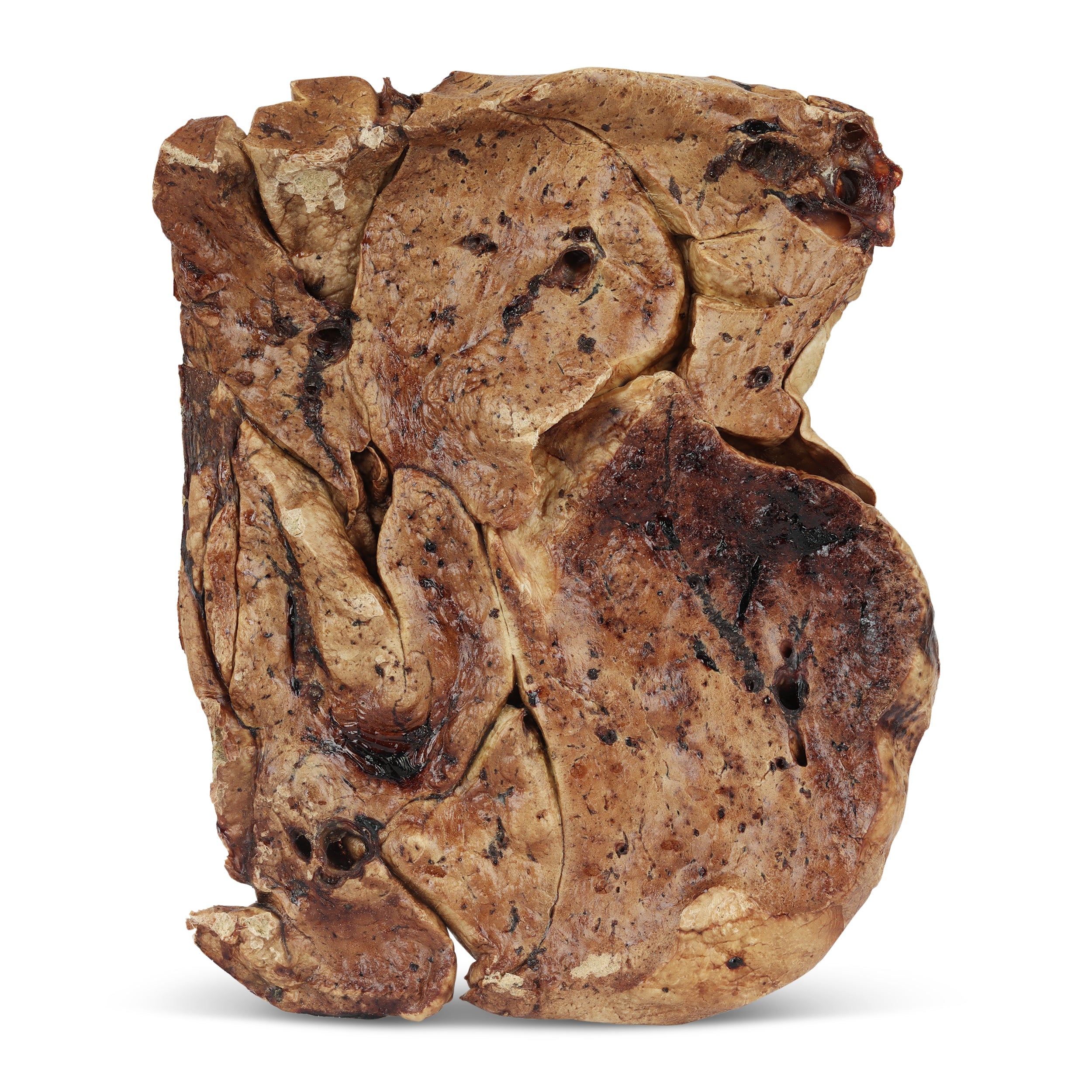 Single Ingredient Dog Treats - Lamb Crunchies 8oz