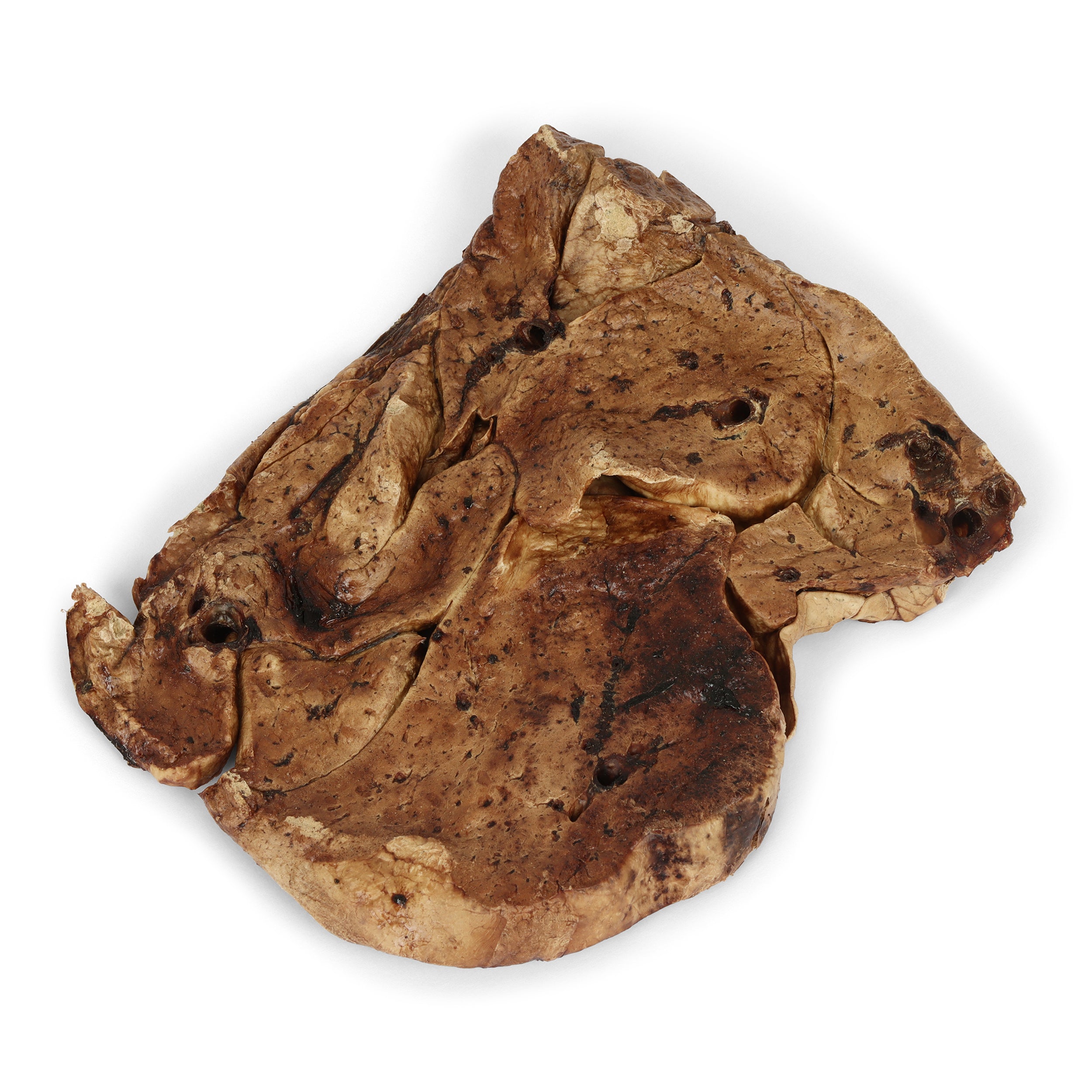 Single Ingredient Dog Treats - Lamb Crunchies 8oz