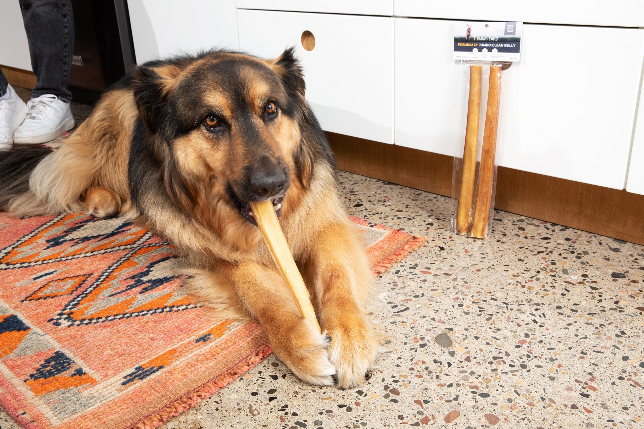 Single Ingredient Dog Treat - Jumbo Bully Stick 12"