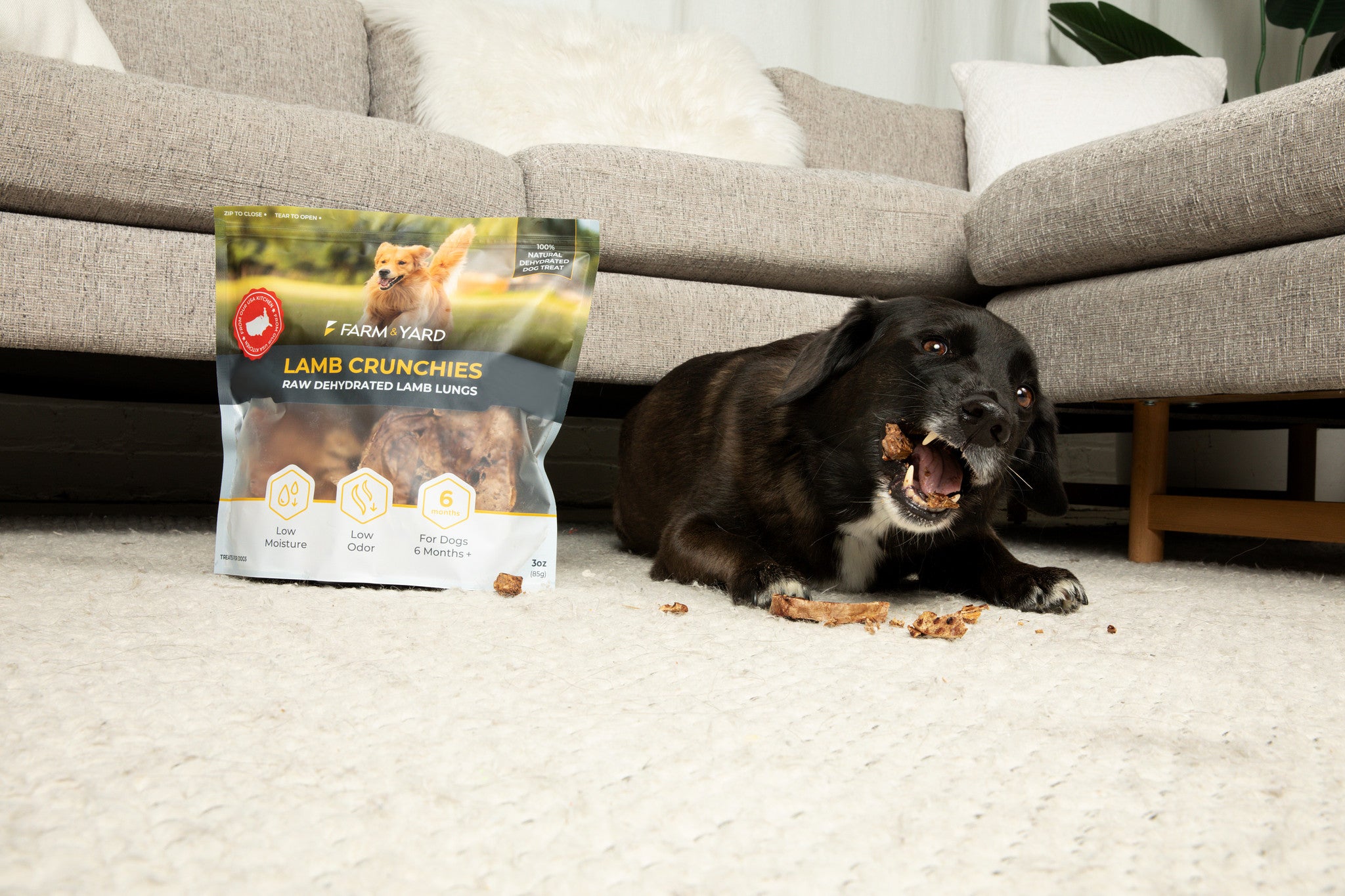 Single Ingredient Dog Treats - Lamb Crunchies 8oz