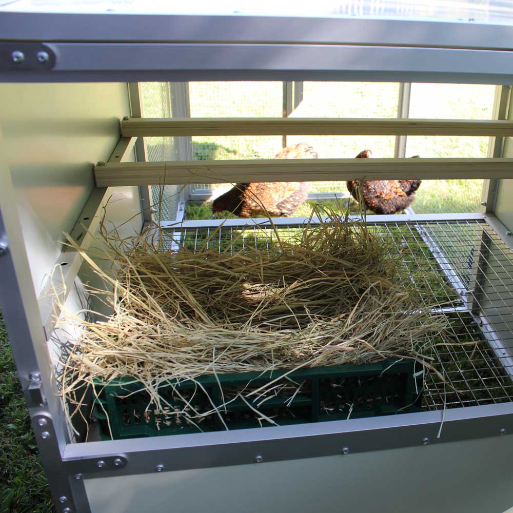 Chicken Nesting Box Farm and Yard