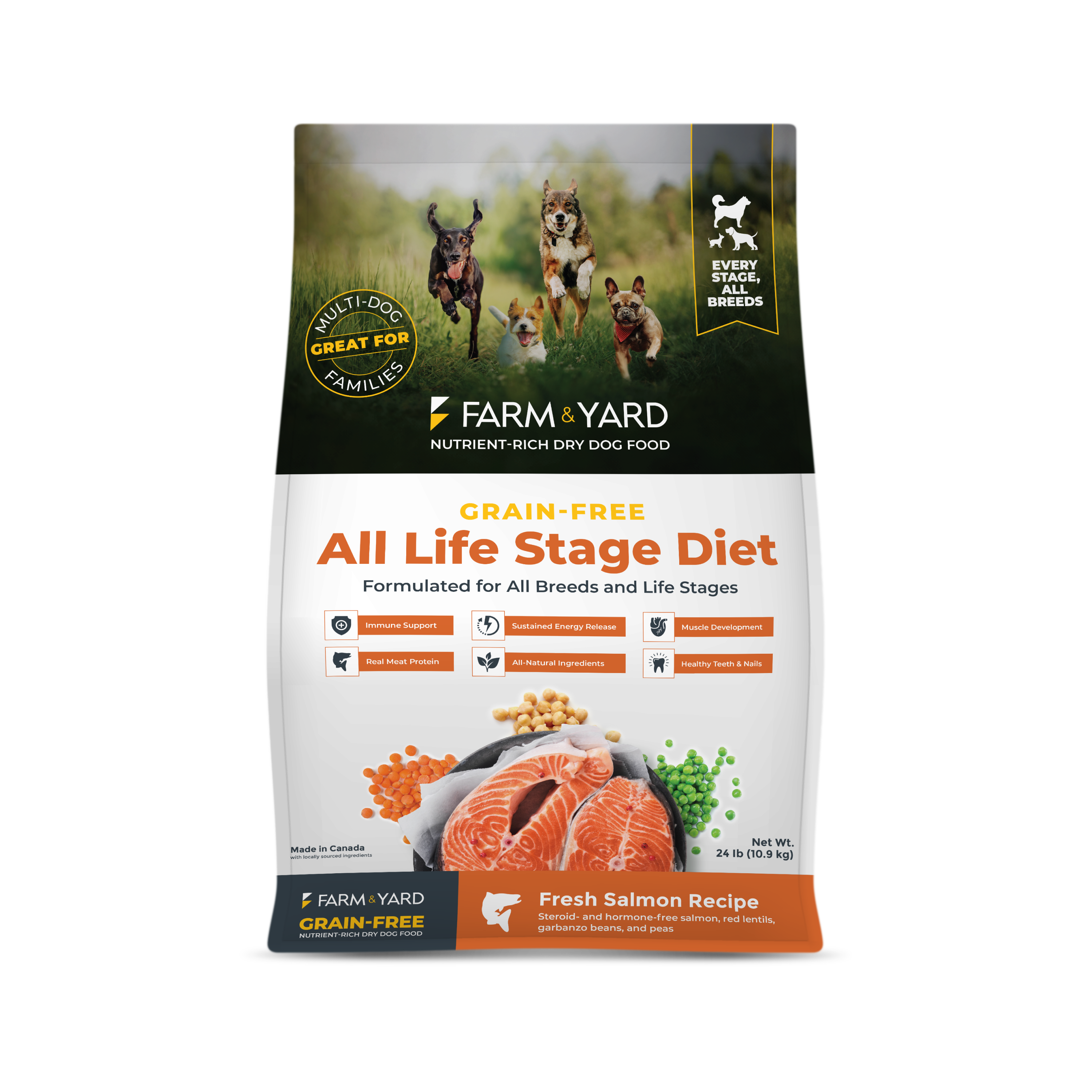 Nutrient-Rich All Life Stage Dry Dog Food - Salmon Recipe