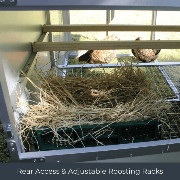 Chicken Drying Racks Mobile Chicken Coop / Chicken Tractor