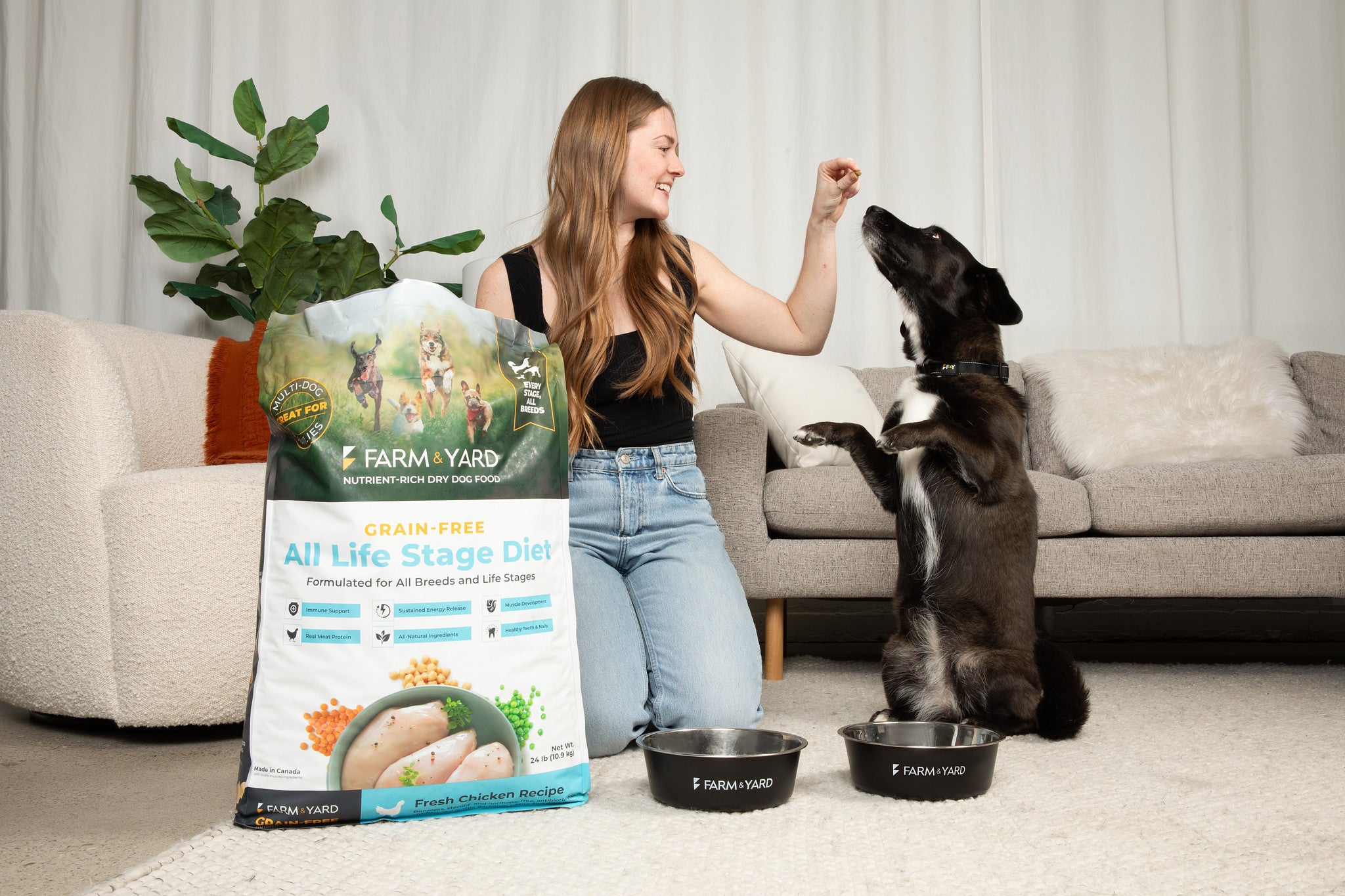 Nutrient-Rich All Life Stage Dry Dog Food - Chicken Recipe