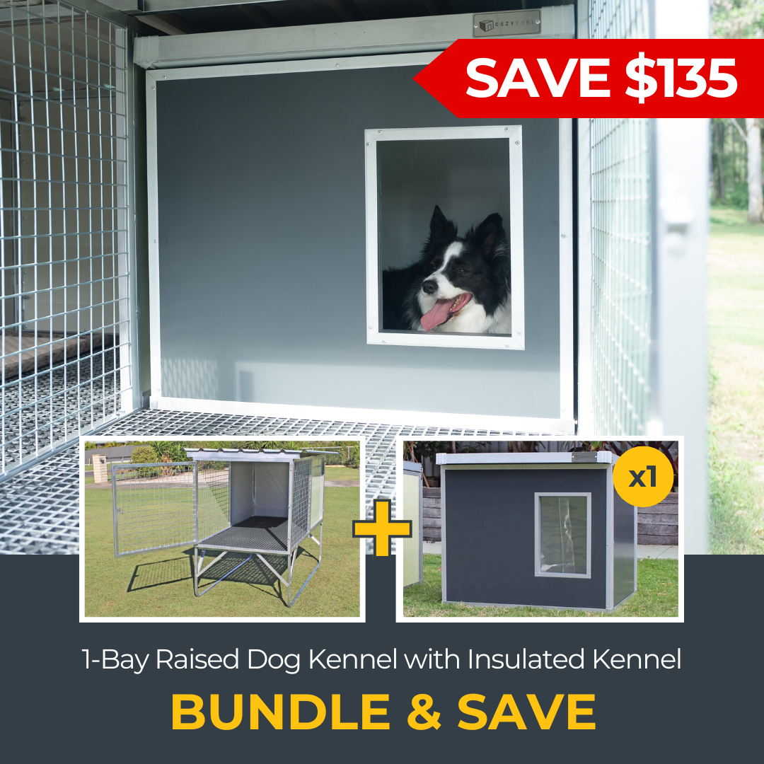 1-Bay Raised Safety Kennel with CozyCube Bundle